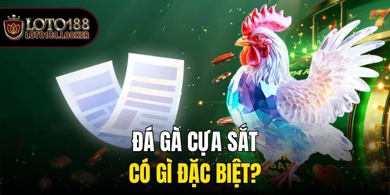 Đá gà cựa sắt có gì đặc biệt?