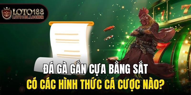 Đá Gà Cựa Sắt – Hình Thức, Luật Thi Đấu, Phân Thắng Thua