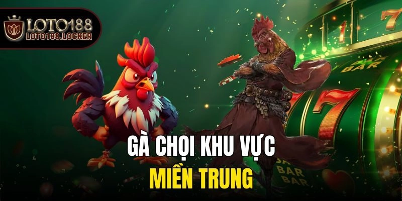 Gà chọi khu vực miền Trung