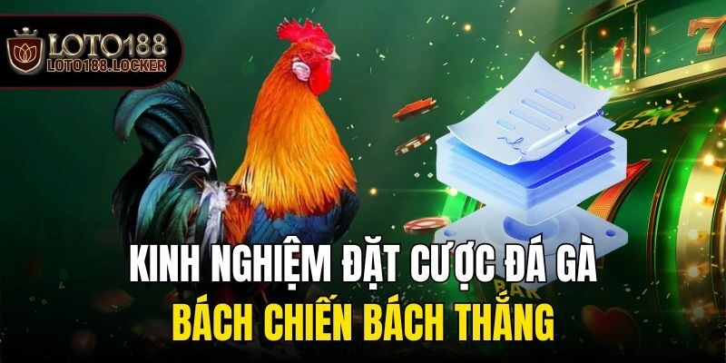 Kinh nghiệm đặt cược đá gà bách chiến bách thắng