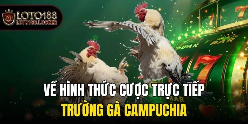 Về hình thức cược trực tiếp trường gà Campuchia