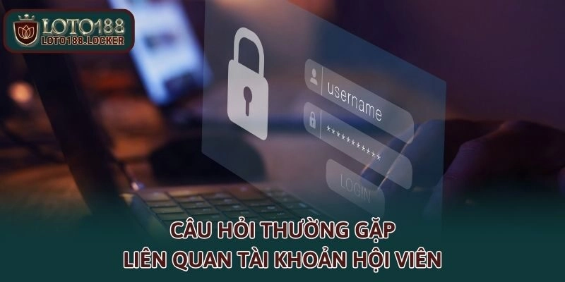 Câu hỏi thường gặp liên quan tài khoản hội viên